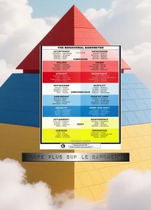 ateliers barometre du comportement kinesiologie sud est vanden houdt Kinésiologie Sud-Est